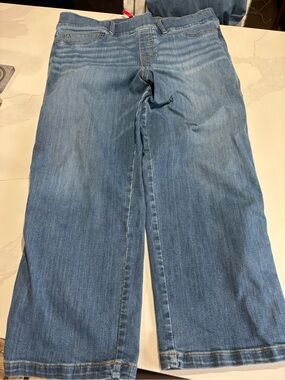 Spanx Denim Straight leg Jeans
Sz 2X Petite 20356Q